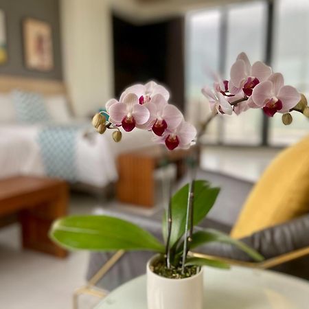 Follow The Cloud B&B Jialin Chambre photo