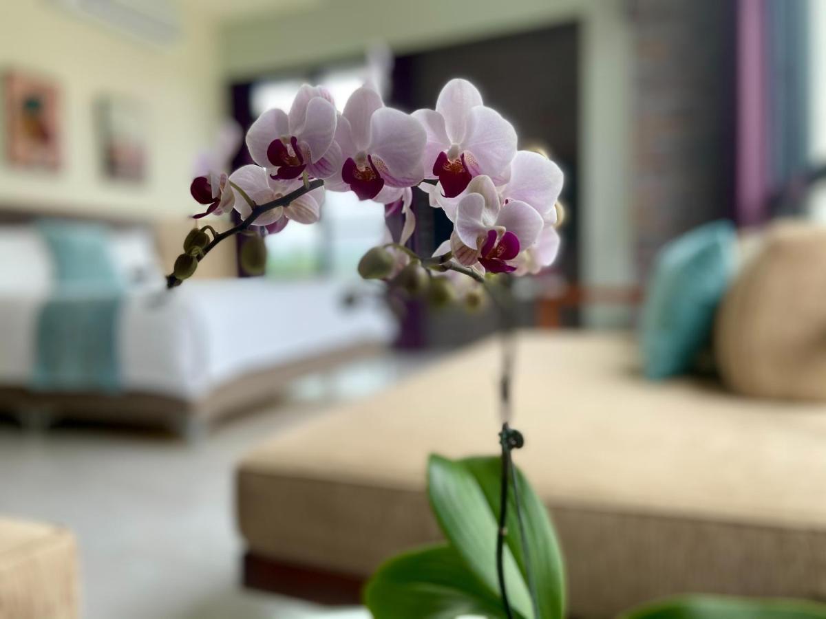 Follow The Cloud B&B Jialin Extérieur photo